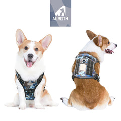 AUROTH arnés perro clip trasero para paseos cómodos.