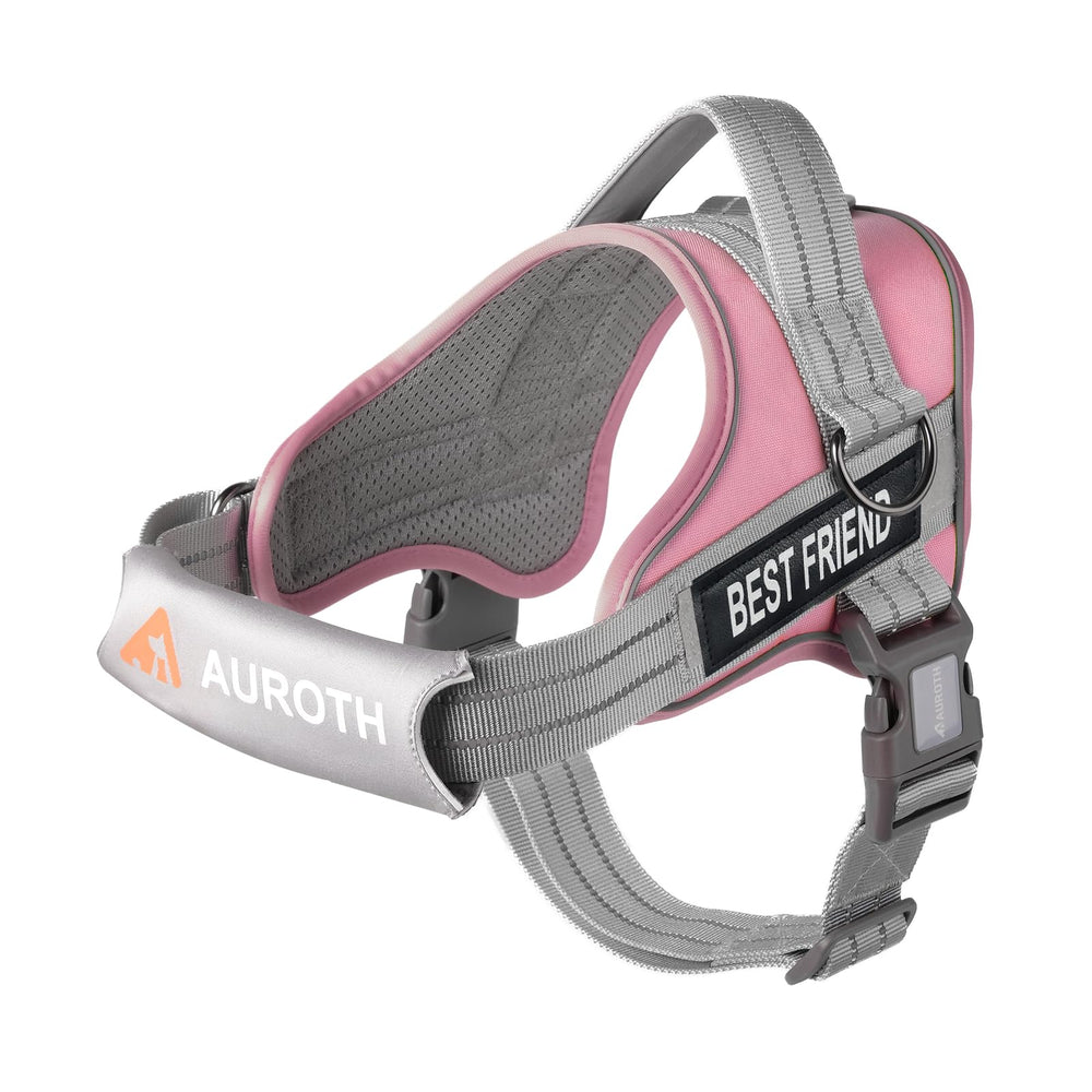 Arnés AUROTH cuello desmontable con almohadilla para comodidad.