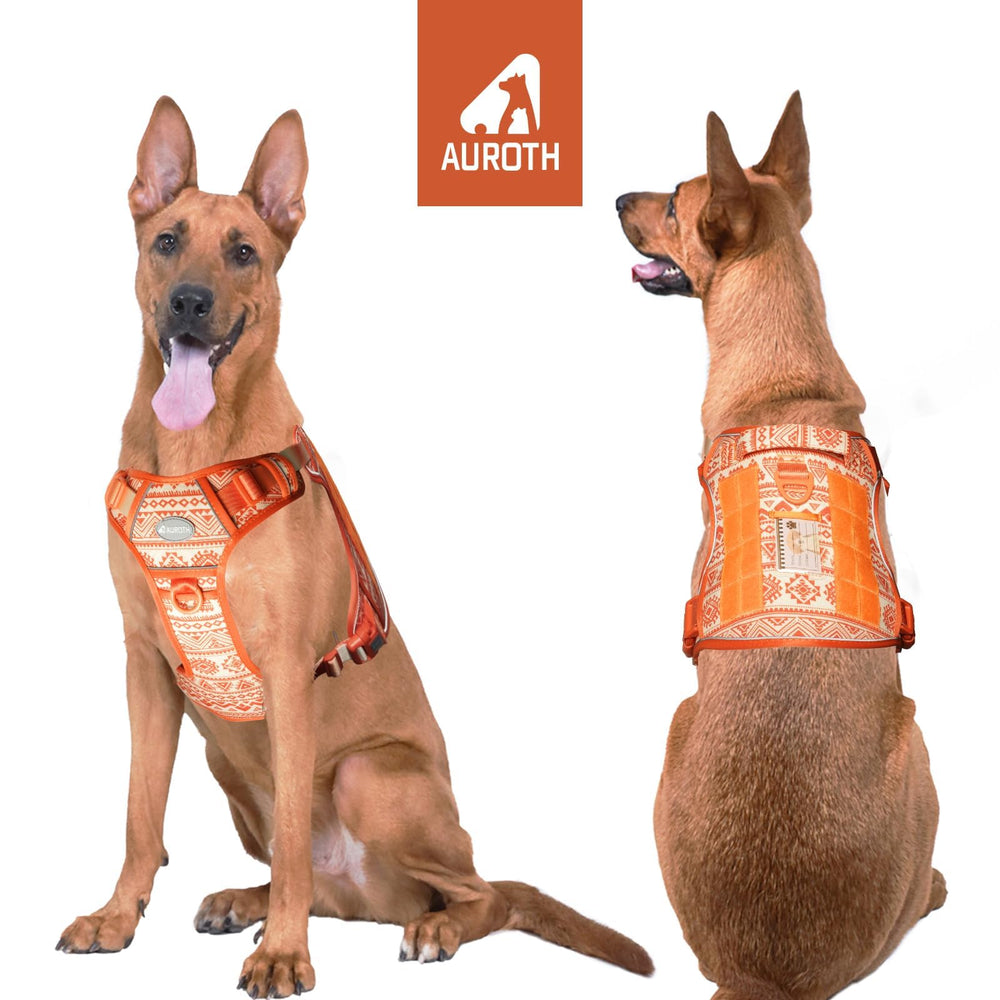 AUROTH arnés para perro dorso, diseño duradero para aventuras