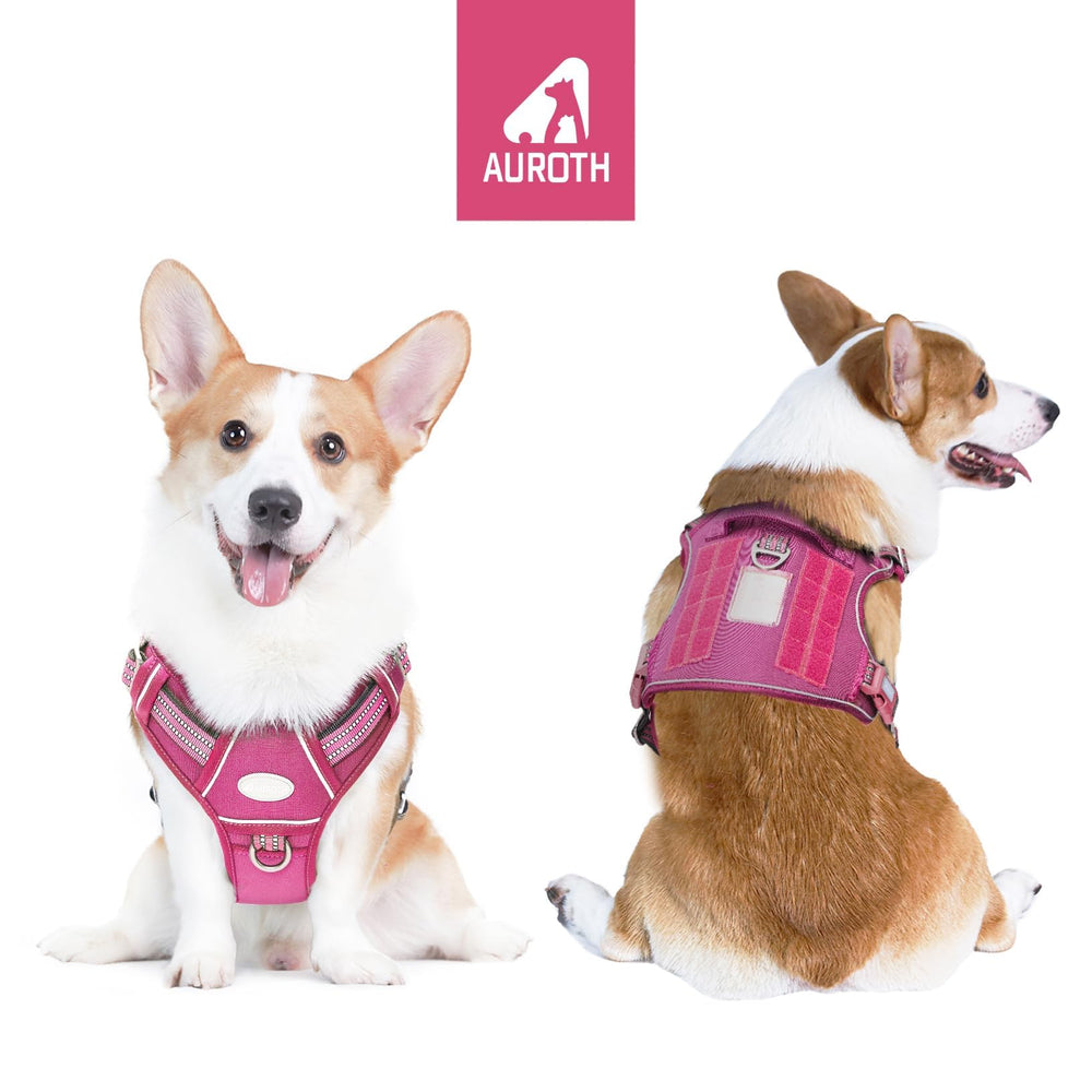 AUROTH Arnés resistente para perros grandes con nylon duradero y costuras reforzadas.