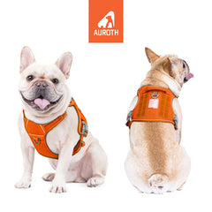 ARNES AUROTH de nylon resistente para perros grandes, durabilidad en excursiones.