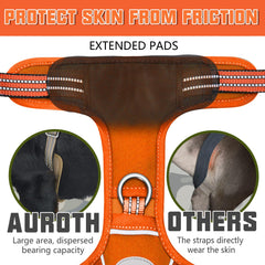 Arnés AUROTH con sistema Molle para llevar accesorios y parches.