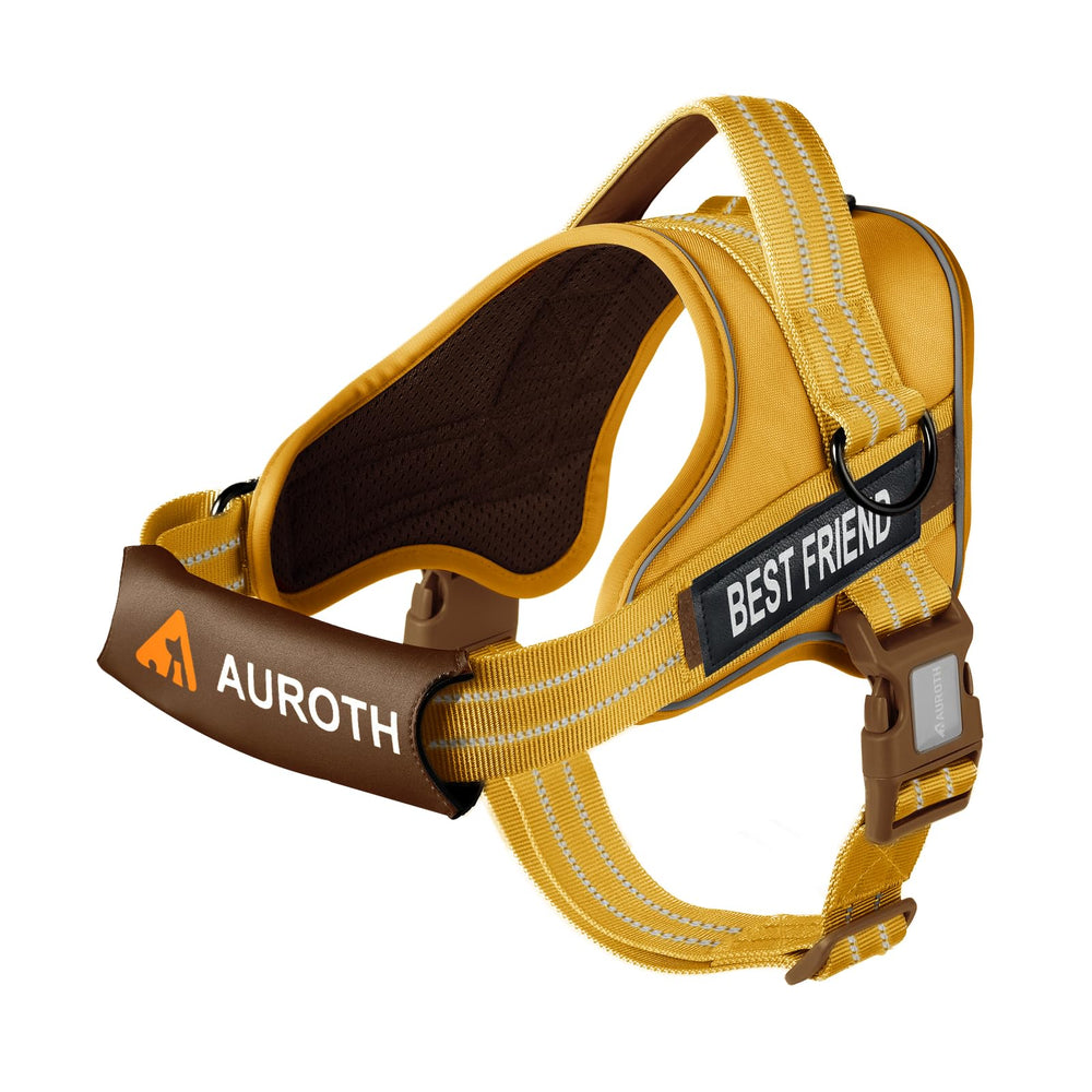 D-ring izquierdo de AUROTH para llaves o bolsas