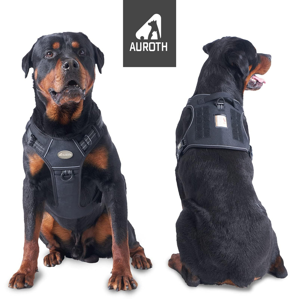 AUROTH arnés ajustable con cuatro anillos metálicos para mejor ajuste.