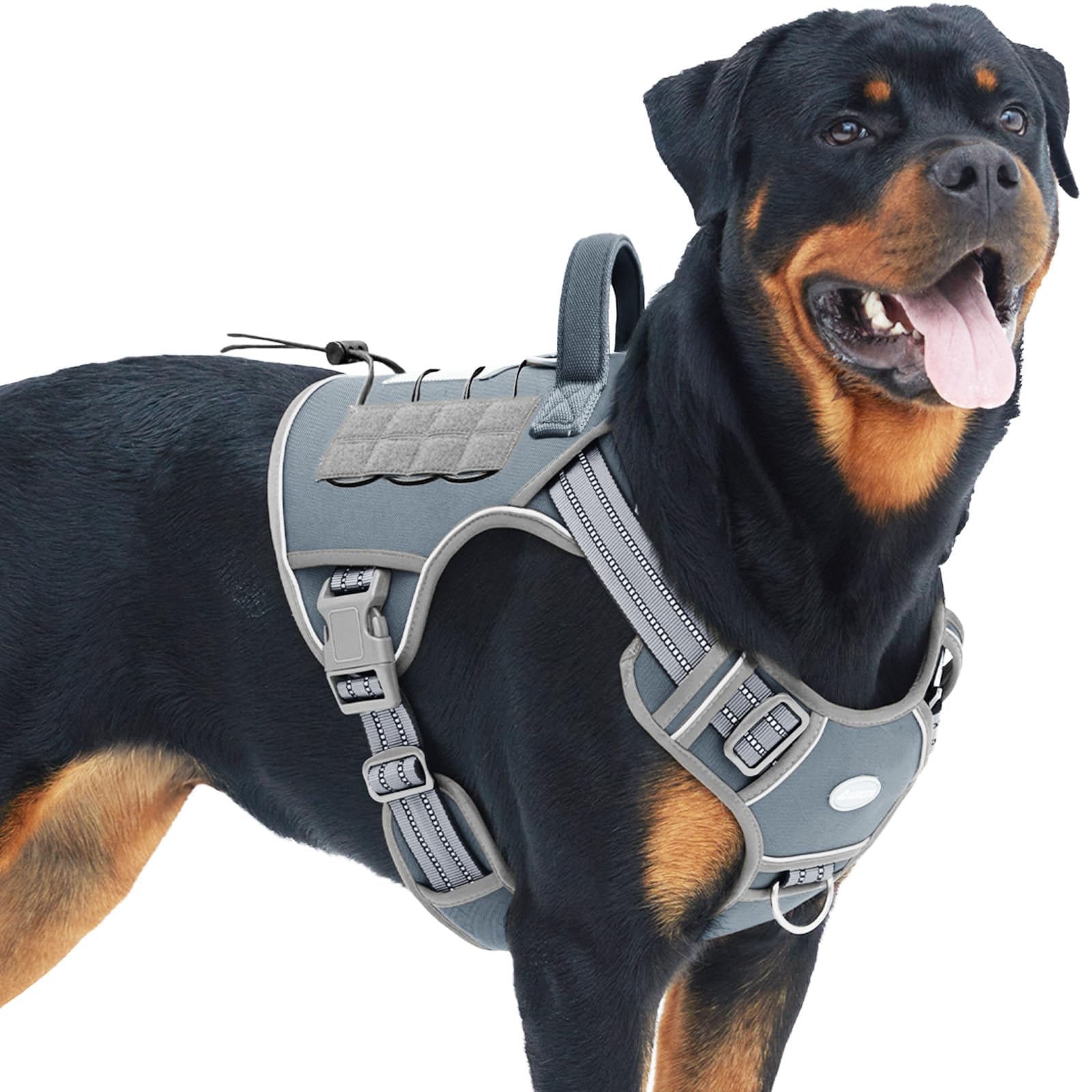 Arnés AUROTH visto frontal para perros grandes, ajuste cómodo y seguro.