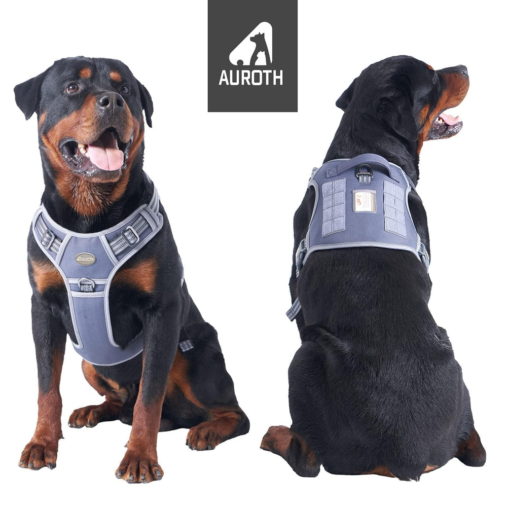 Arnés AUROTH con sistema MOLLE lateral para accesorios útiles.