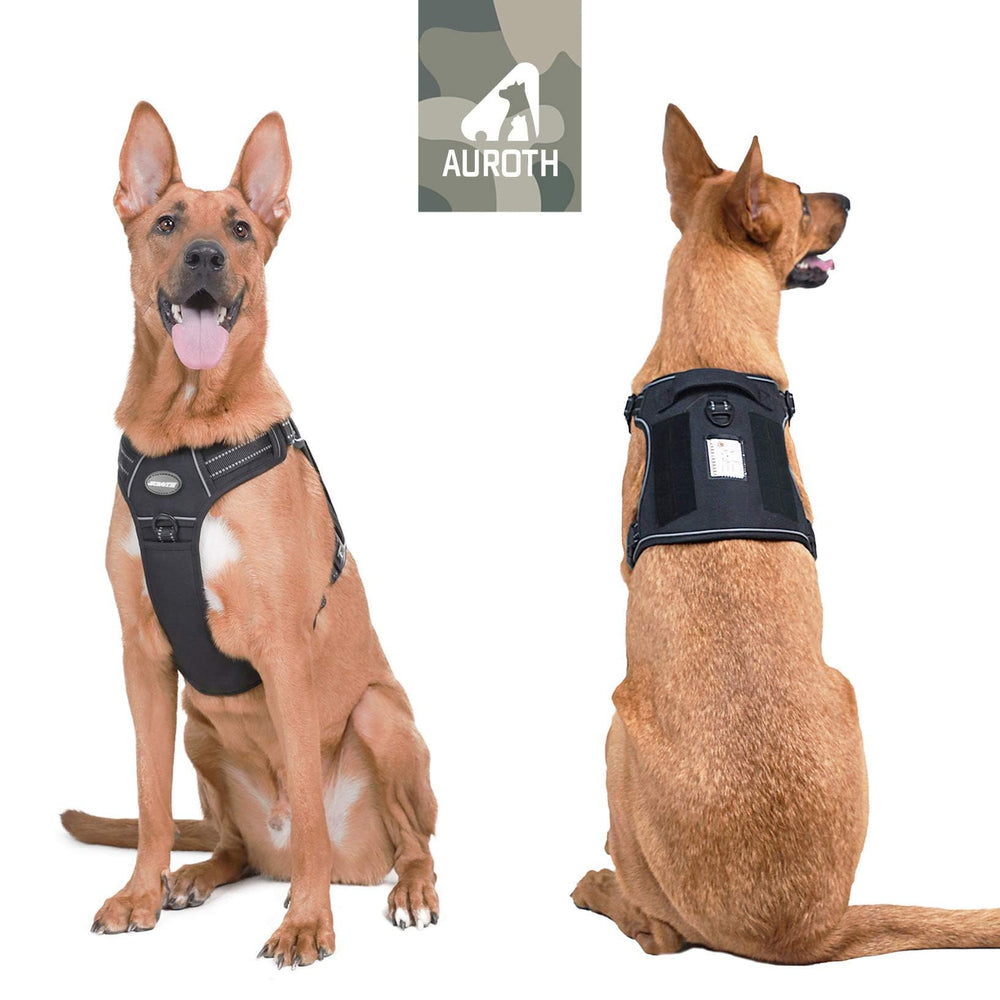 AUROTH Arnés con placa de identificación incluida para personalización.