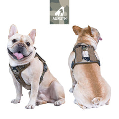 AUROTH arnés táctico para perros medianos con diseño resistente para aventuras