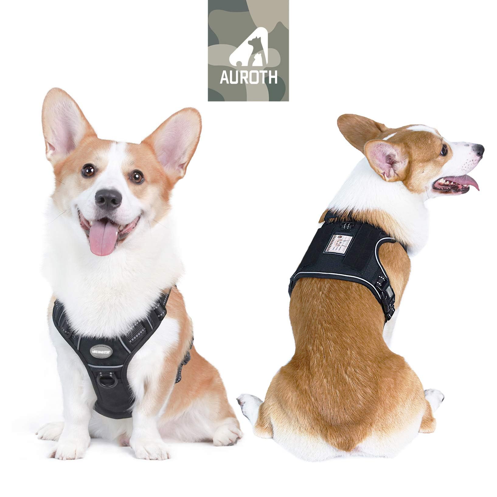 Arnés AUROTH con sistema MOLLE, vista lateral para accesorios.