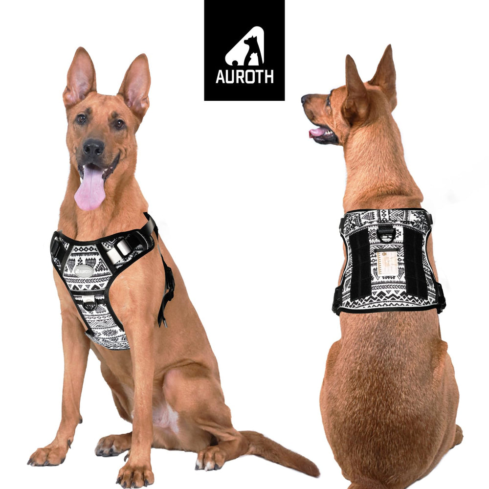 Asa de control AUROTH para perro grande, manejo seguro al caminar.