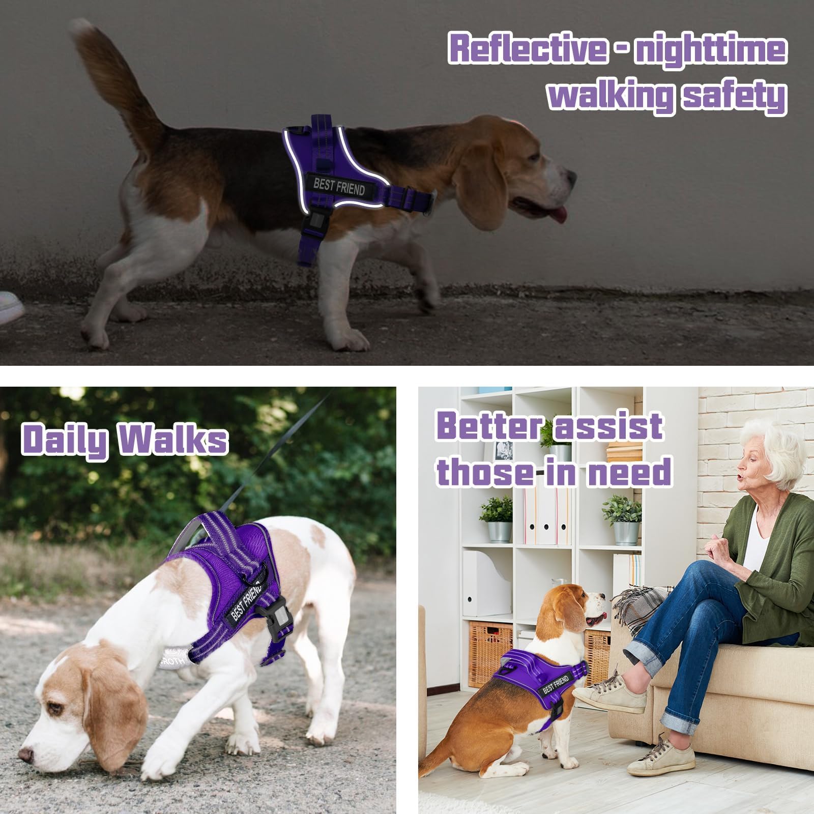AUROTH correa para perro de 5,25 pies: longitud ideal para paseos controlados.