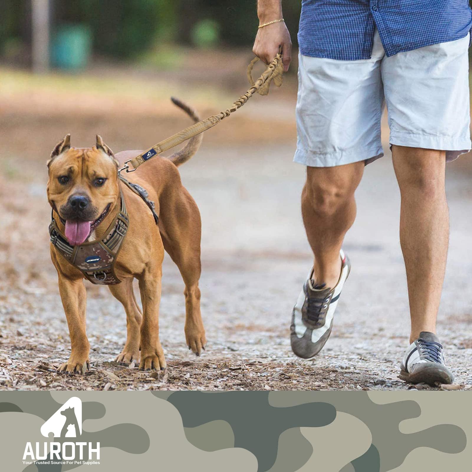 AUROTH correa de longitud 4 pies, control cercano para perros medianos a grandes.