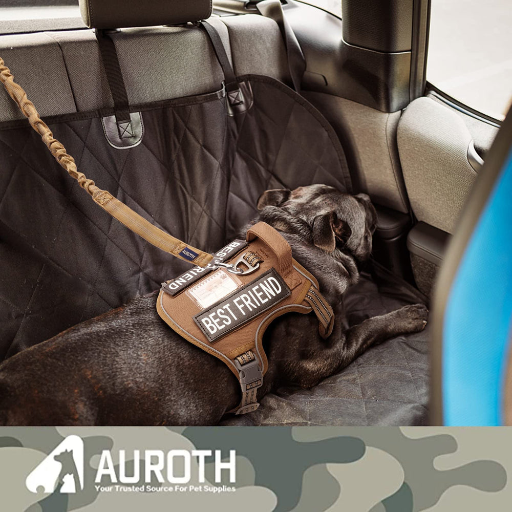 AUROTH correa con hebilla para cinturón de coche mantiene al perro seguro.