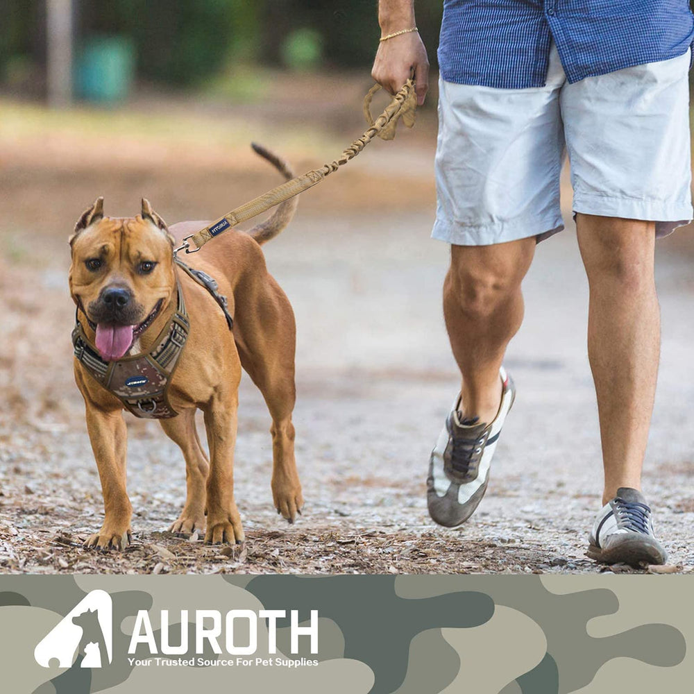 AUROTH correas en longitudes de 4 ft y 6 ft ofrecen control cercano o exploración.