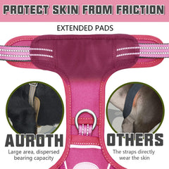 AUROTH Enganches frontal y trasero para entrenamiento y paseos con control.