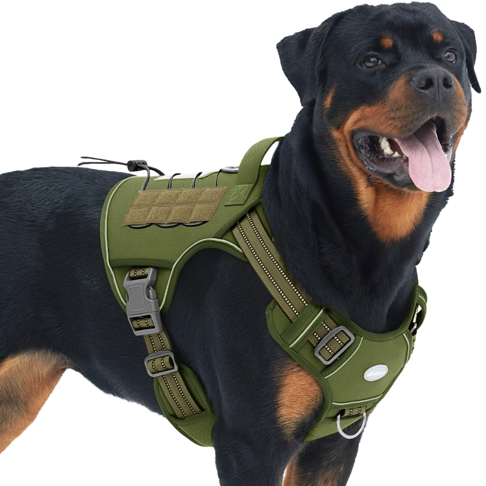 AUROTH arnés táctico compatible con accesorios Molle y bolsos.