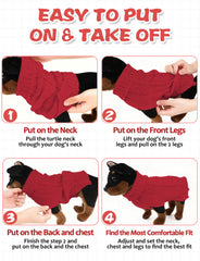 Suéter AURUZA para perro, estilo clásico ideal para fotos festivas.