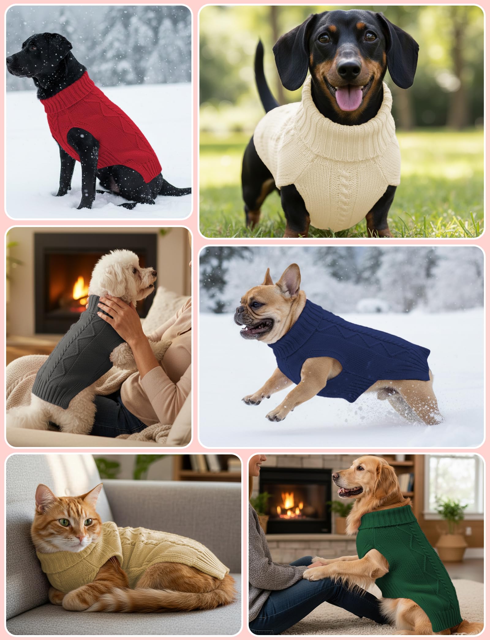 Prenda diaria AURUZA para perro, uso interior y exterior.
