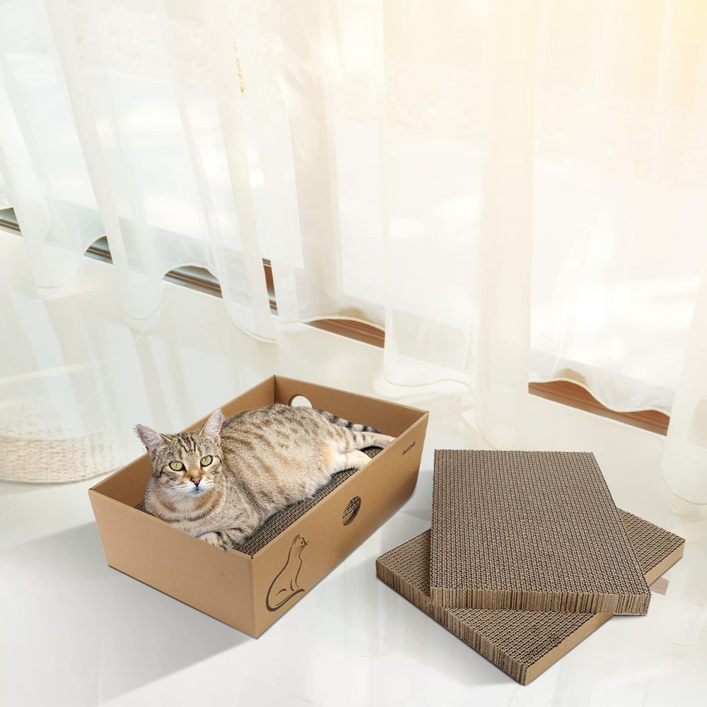 AUSCAT dimensiones de caja y tableros muestran tamaño práctico para interiores.