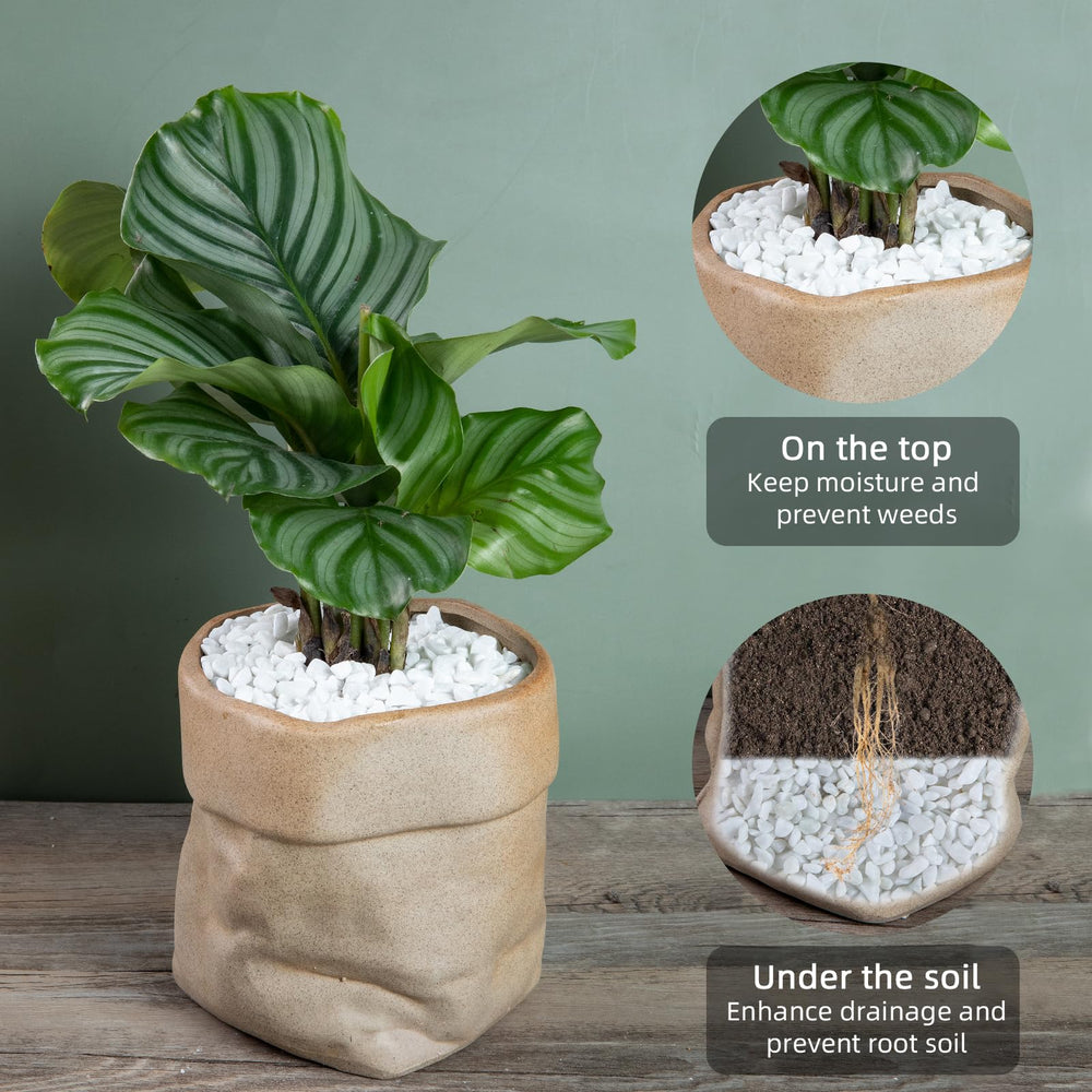 Ausluru grava de sílice apta para bodas y eventos florales con brillo natural
