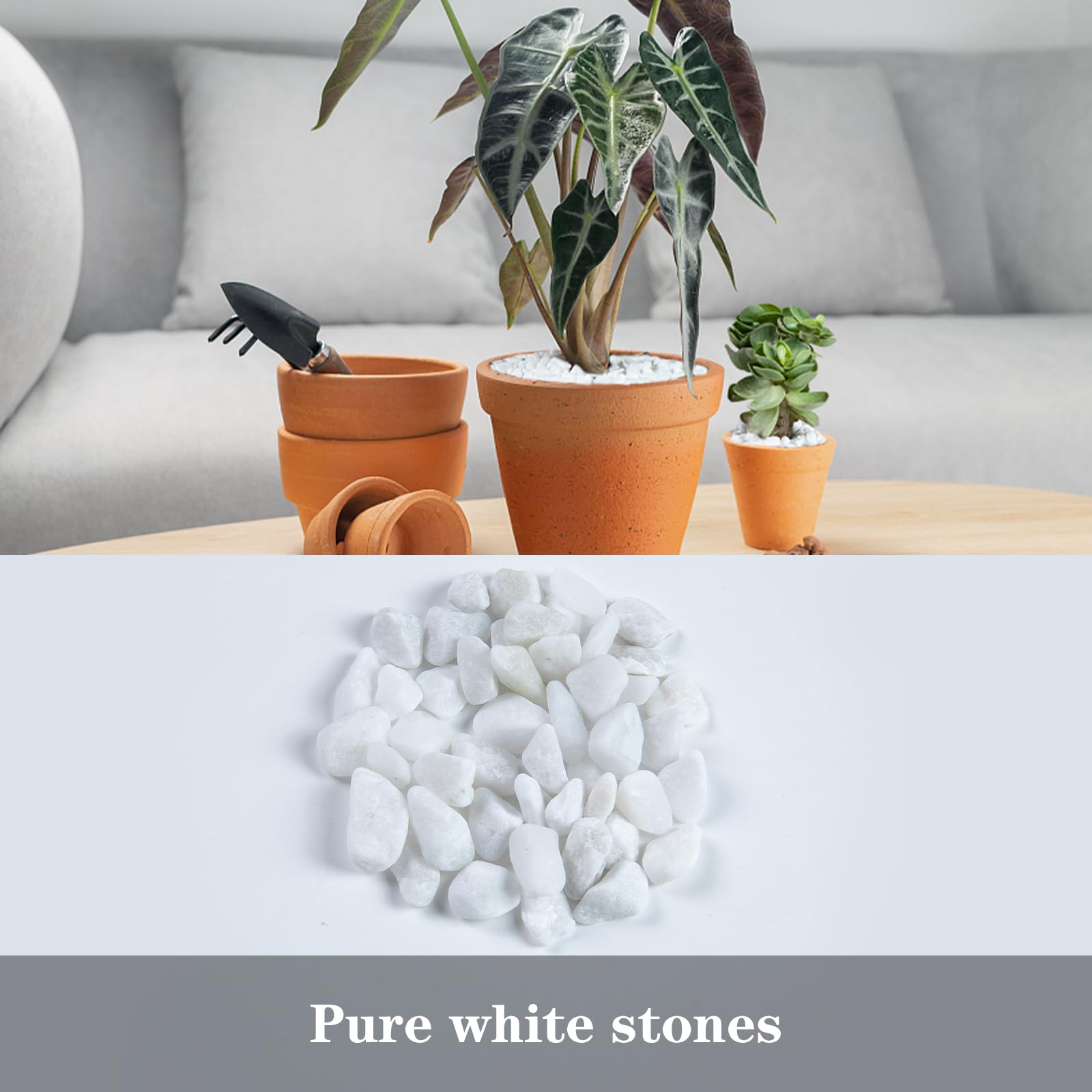Ausluru grava de sílice protege plantas con drenaje y retención de humedad