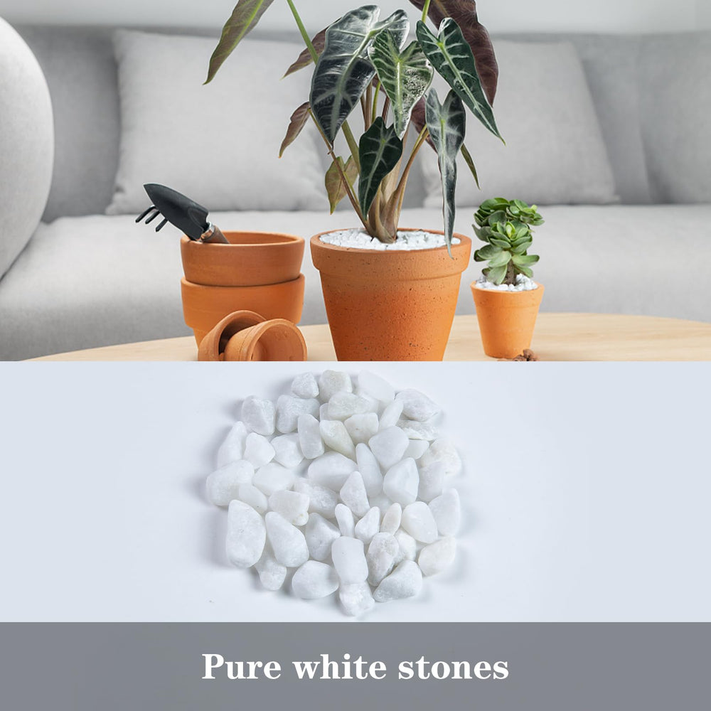 Ausluru grava de sílice protege plantas con drenaje y retención de humedad