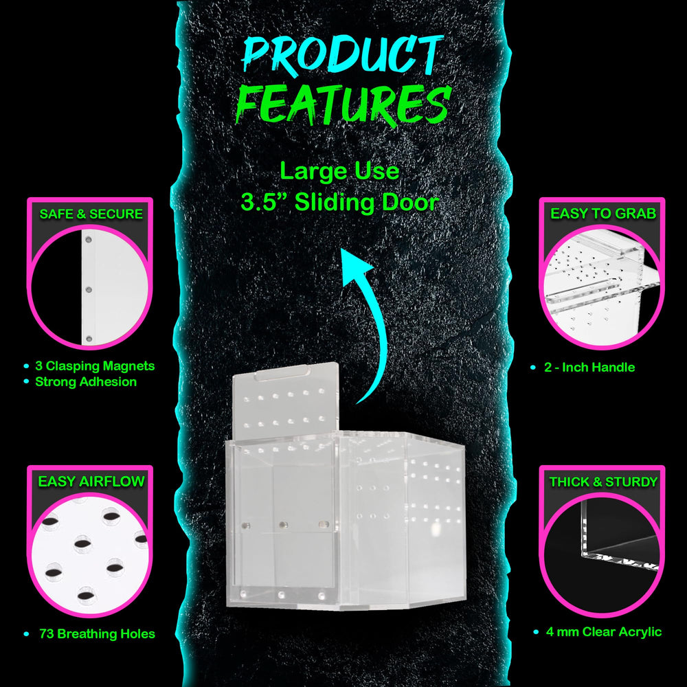 Authentic JOY tarántula terrestre y arbórea alojada en terrario
