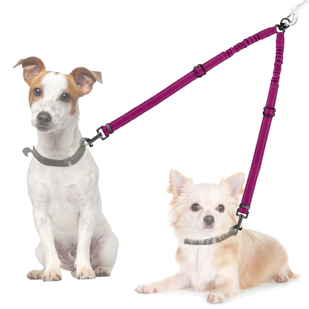 AUTOWT correa doble para perros con giro de 360° para paseos sin enredos.