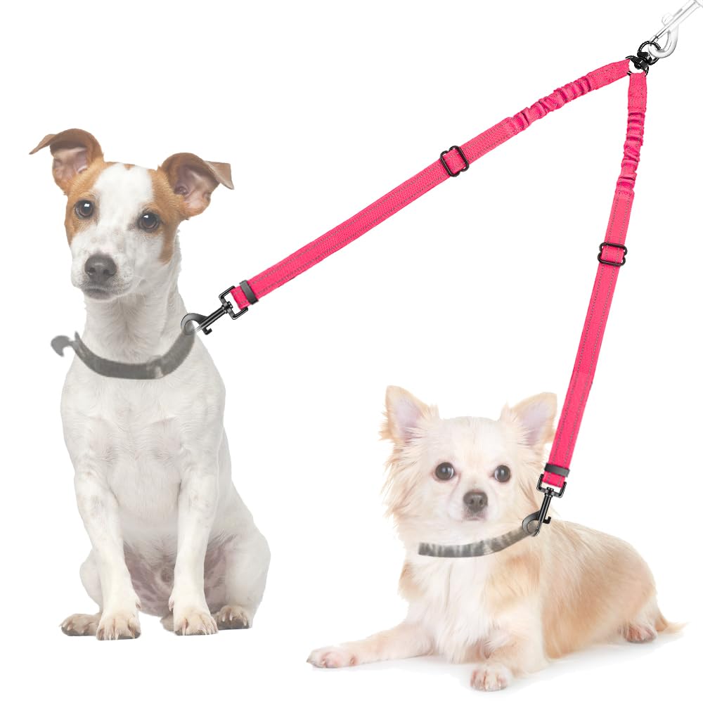 AUTOWT Doble correa para perro 360° giro para paseos sin enredos