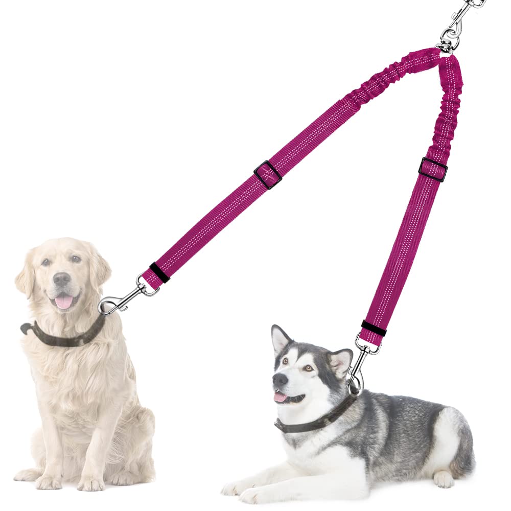 Autowt doble correa para dos perros con giro 360, evita enredos durante paseos.
