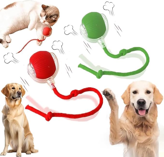AUTRETY bola eléctrica interactiva 360 para perros y gatos, diversión continua