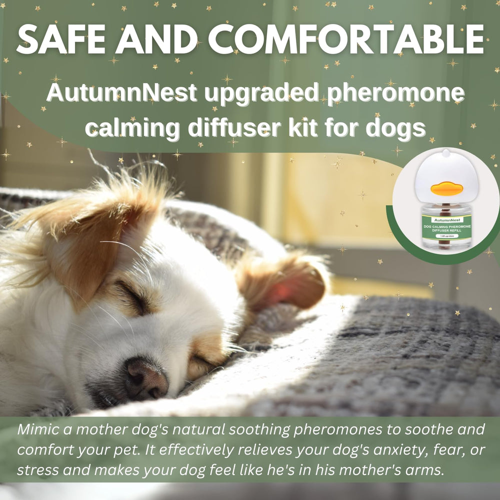 Ambiente pacífico en casa con el difusor para perros AutumnNest.