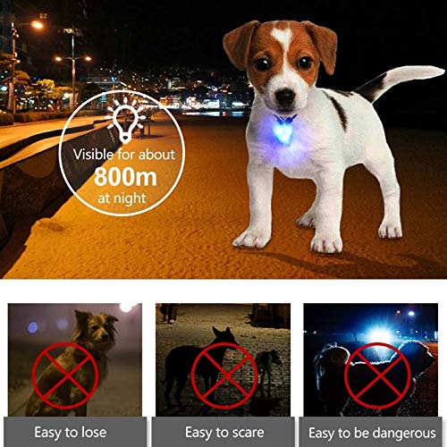 Avando Collar Luz Azul: ayuda a ubicar a tu mascota en la oscuridad.