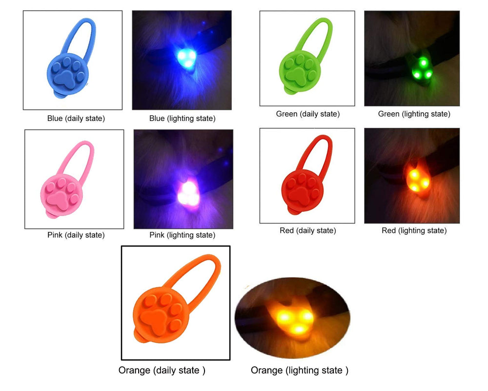 Avando Collar Luz Perro Llavero: luz portátil para llaves y salidas.