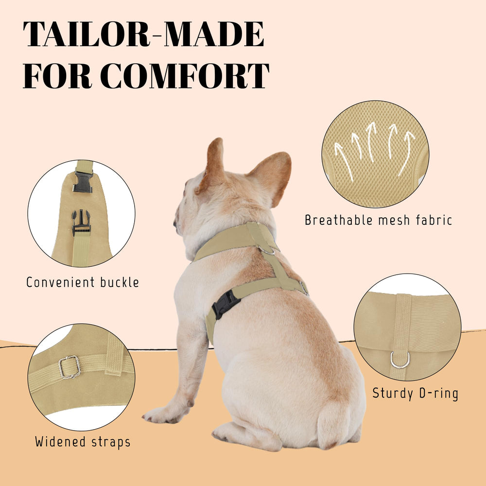 AVERYDAY esmoquin para perro, dos correas para mayor seguridad al vestir.
