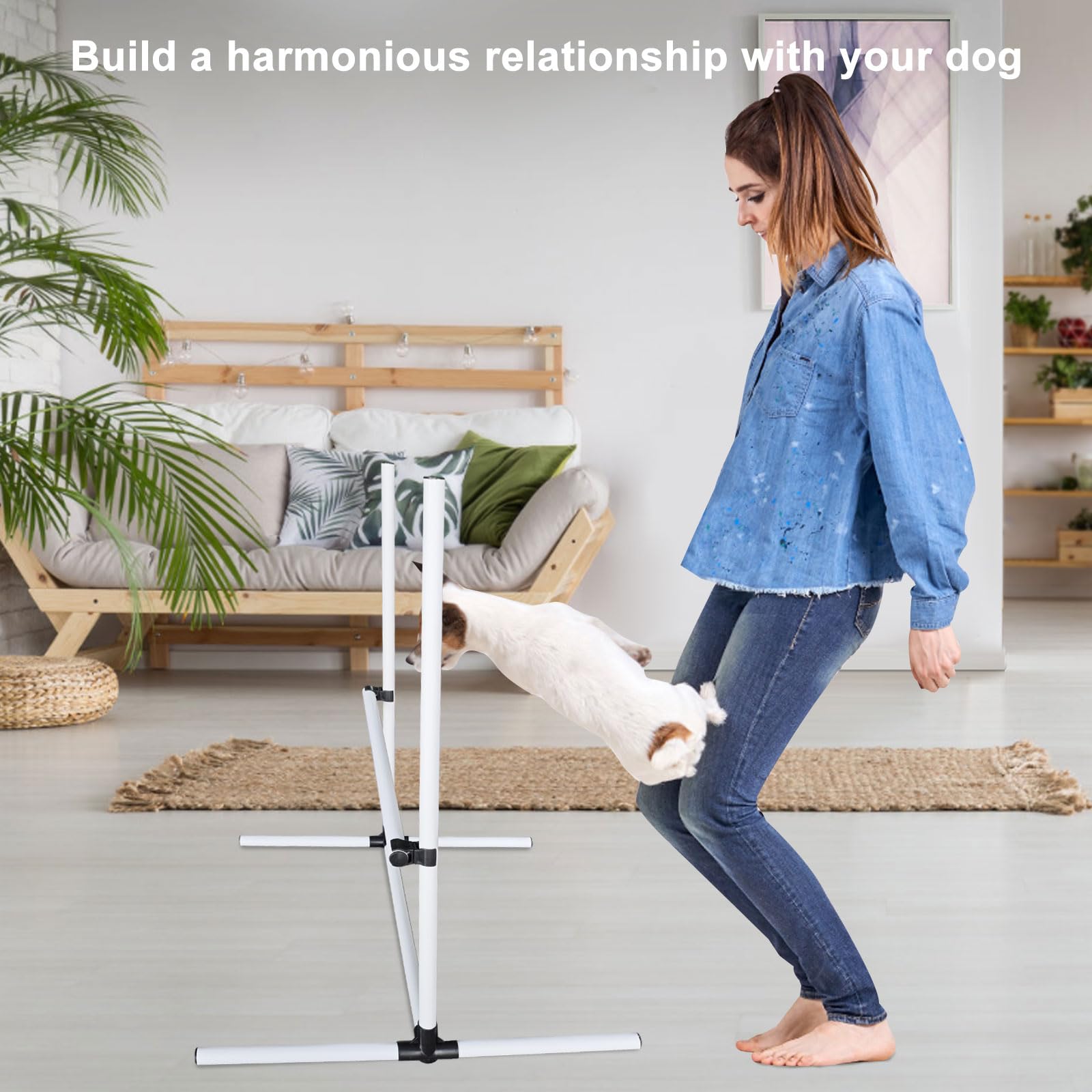 Avoirdus regalo ideal para perros activos que disfrutan del juego.