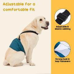 Avont absorbente con malla interior y capa impermeable: protección contra fugas.