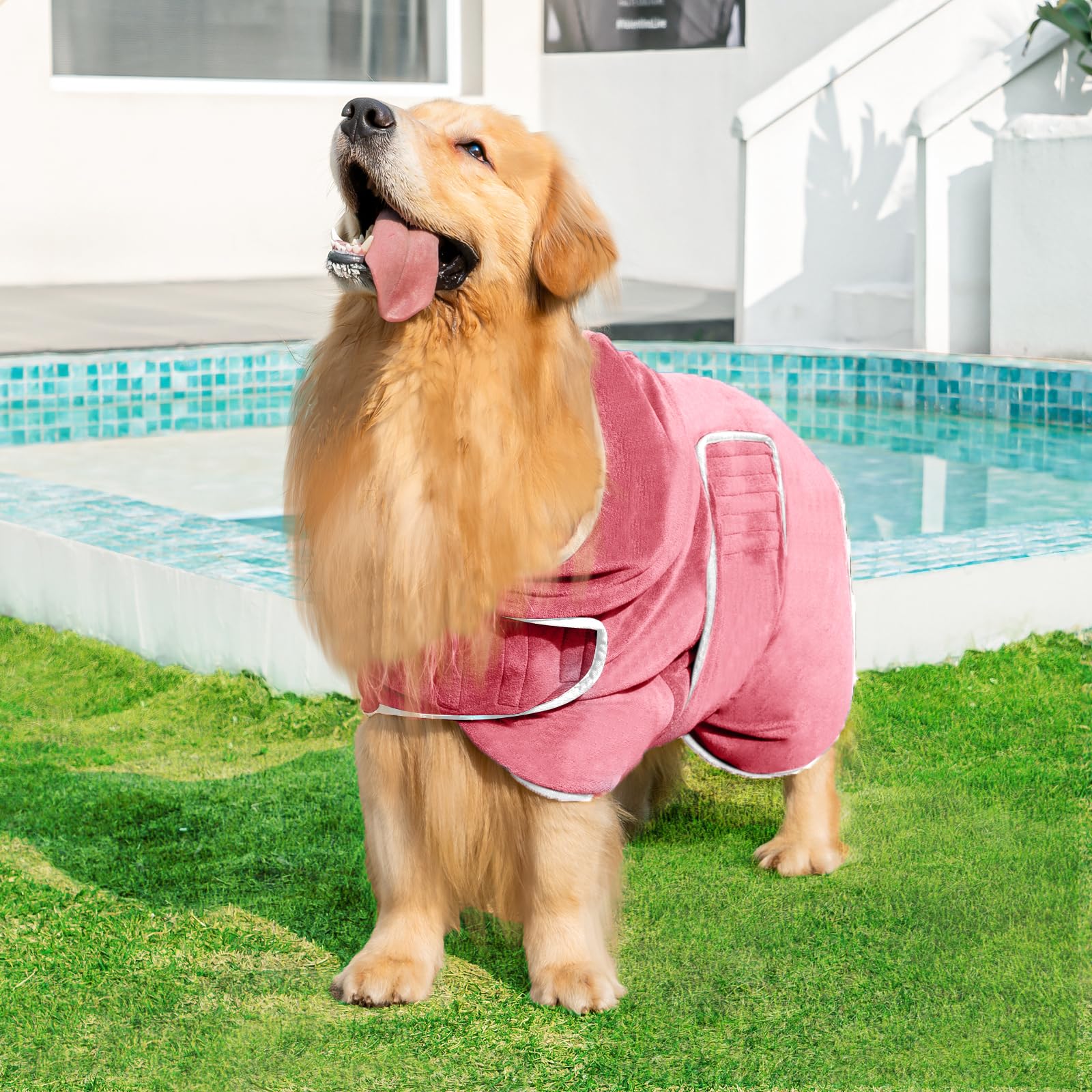 Avont bata para perro con ajuste de velcro para ponérselo y quitarlo fácilmente