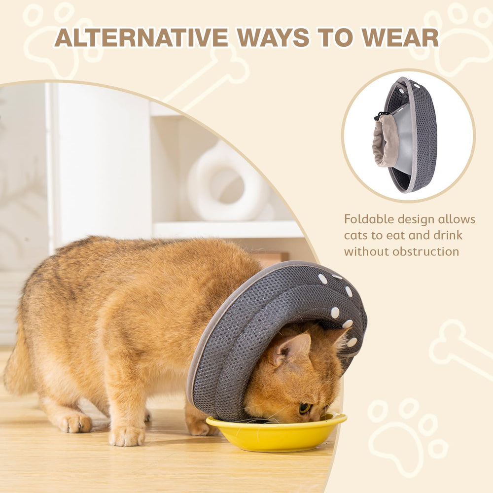 Avont collar gato ajustable y ligero, ideal para recuperación de mascotas pequeñas.
