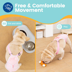 Conjunto enterizo Avont para Frenchie, tiras ajustables para mejor ajuste.