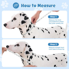 Avont cono para perro, diseño plegable, fácil de guardar cuando no se usa.