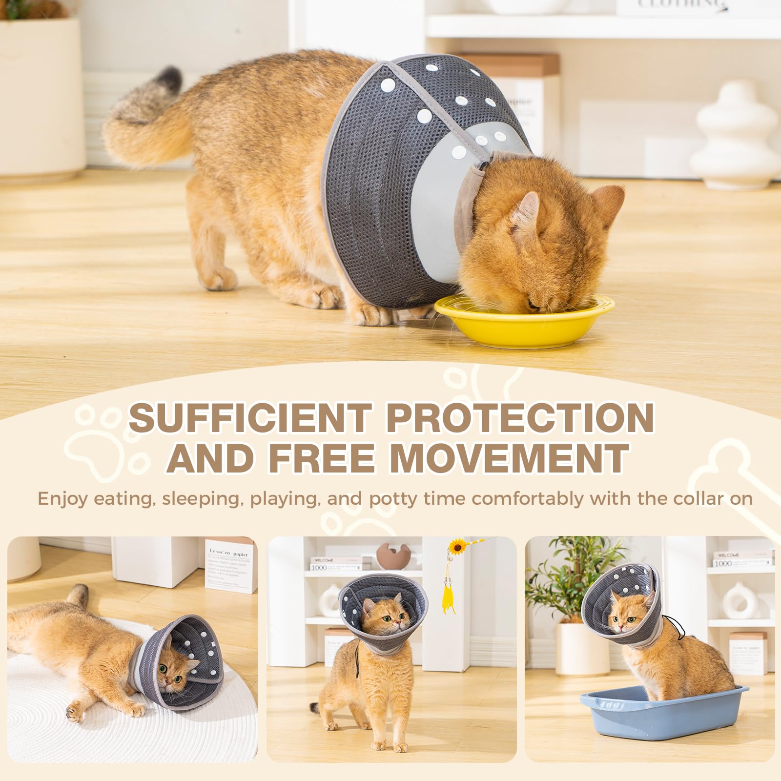 Avont cono para perros pequeños y gatos, cómodo para uso diario.