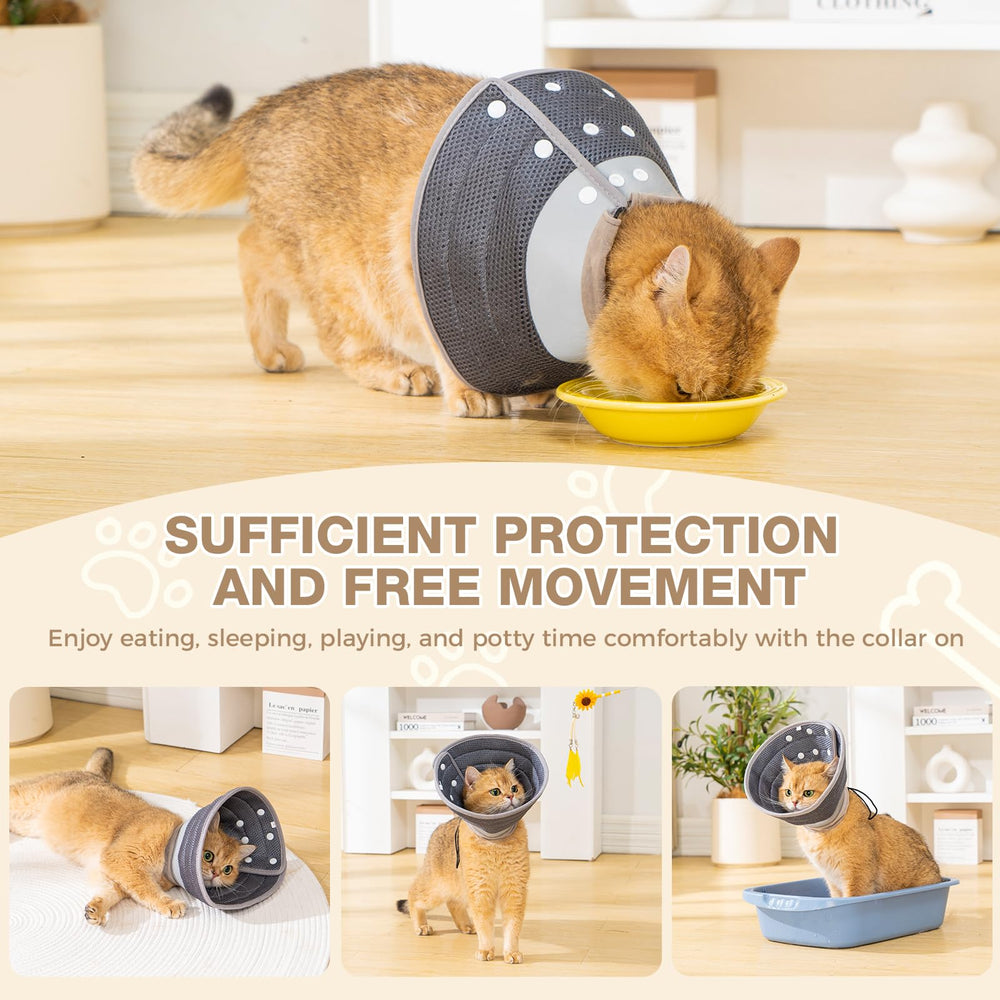 Avont cono para perros pequeños y gatos, cómodo para uso diario.