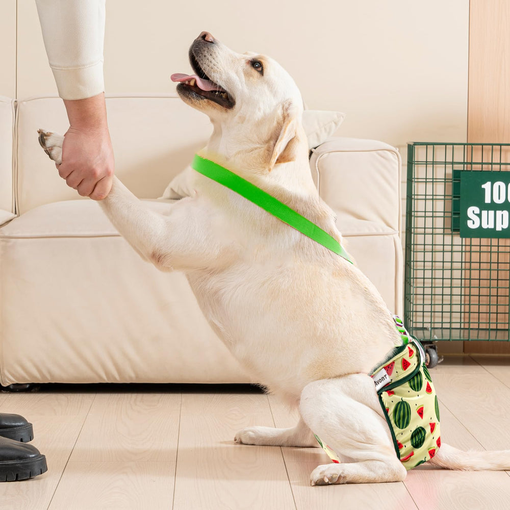 Avont sistema de tirantes y velcro para ajuste cómodo