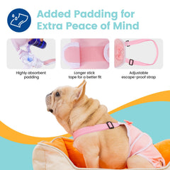 Pañales Avont para perro francés azul con diseño impermeable y absorbente.
