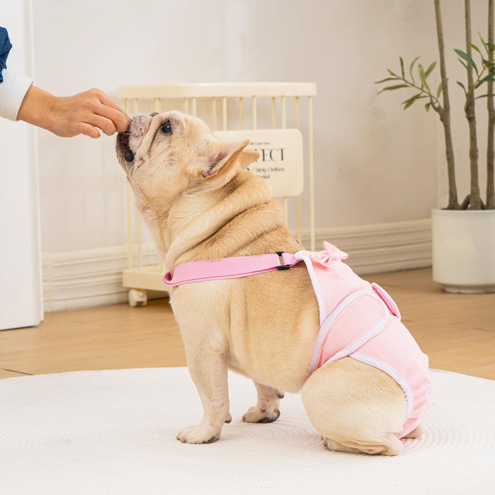 Pañales Avont para Frenchie púrpura con cintas ajustables para mayor estabilidad.
