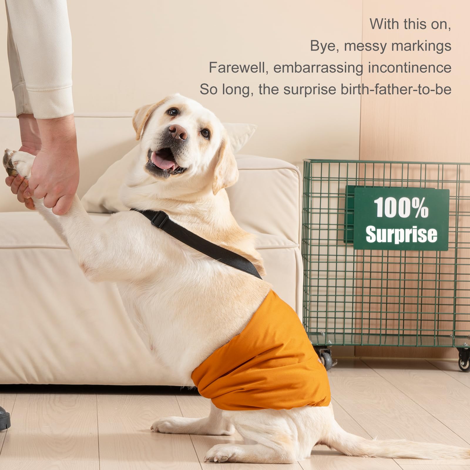 Avont pañales para perro macho aptos para lavadora y secadora a baja temperatura.