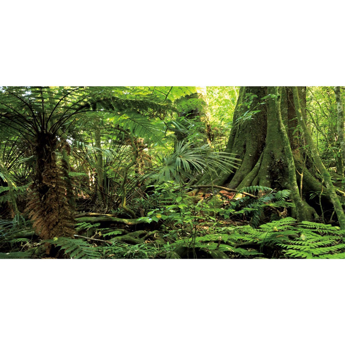 AWERT fondo forestal con árbol grande para terrario, añade profundidad natural.