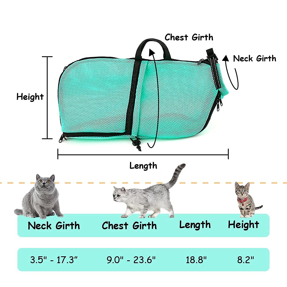 AWOOF color verde atractivo para llamar la atención del gato.