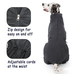 Axcimond chaqueta para perros, vista trasera con protección contra viento.
